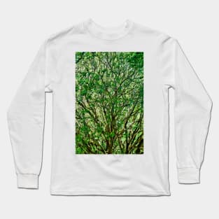 Muir Woods Study 23 Long Sleeve T-Shirt